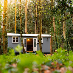 Shepherds%20Hut%20In%20The%20Forest%20(2